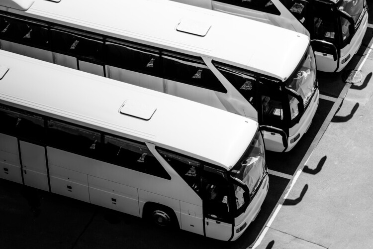 multiple full sized charter buses for school trips